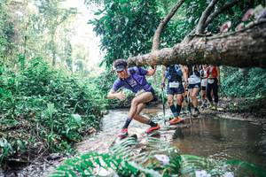 BIB: 
                            <button type="button" onclick="openModal(25457725)" class="btn btn-primary btn-sm float-right btn-popup" data-toggle="modal" data-target=".modal-high-quality">
                        <i class="fas fa-shopping-cart"></i> Add to Cart
                    </button>
                                            <button type="button" onclick="isThisMe(25457725, true)" class="btn btn-success btn-sm float-right btn-popup btn-isme hidden" data-toggle="tooltip" data-placement="bottom" title="นี่คือรูปของคุณใช่ไหม คลิกที่นี่เพื่อเอาเข้าอัลบั้ม">
                        <i class="fas fa-plus"></i> Add to album
                    </button>
                    <button type="button" onclick="isThisMe(25457725, false)" class="btn btn-warning btn-sm float-right btn-popup btn-isnotme hidden">
                        <i class="fas fa-ban"></i> Remove from album
                    </button>